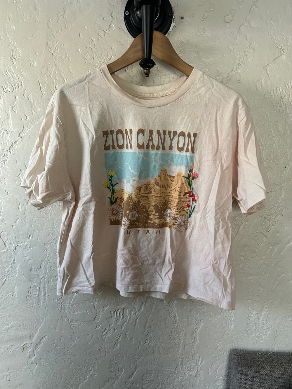 Organic Collective Embroidered Zion National Park T-Shirt